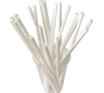 Paper Straws (10 pcs)